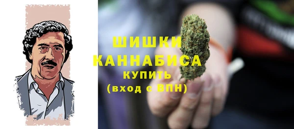молекула духа Белоозёрский