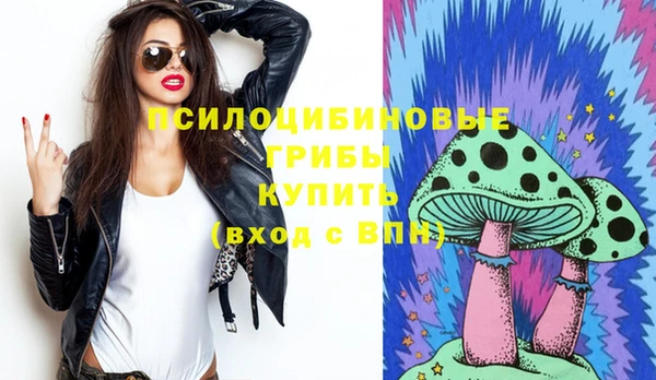 тгк Белокуриха