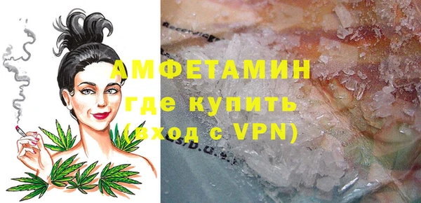 прущие грибы Беломорск