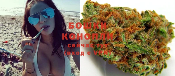 прущие грибы Беломорск