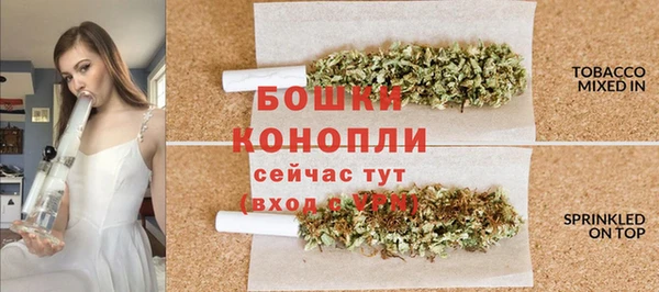 молекула духа Белоозёрский