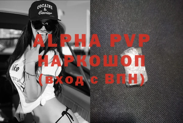 прущие грибы Беломорск