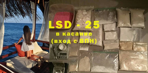 прущие грибы Беломорск