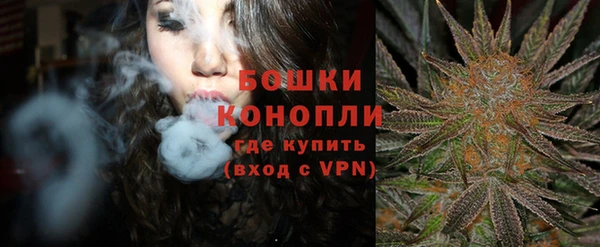 прущие грибы Беломорск