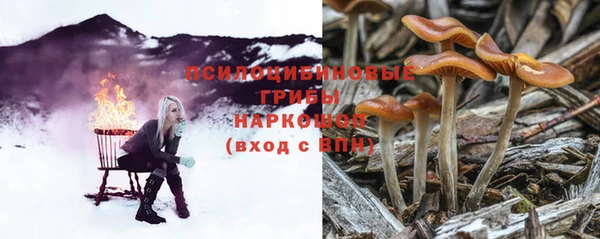 тгк Белокуриха