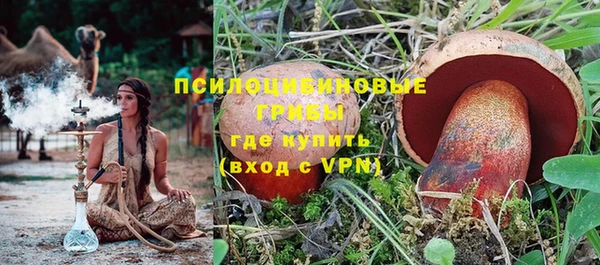 молекула духа Белоозёрский