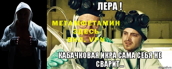 прущие грибы Беломорск