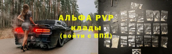 прущие грибы Беломорск