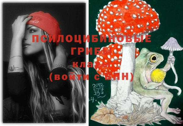 тгк Белокуриха