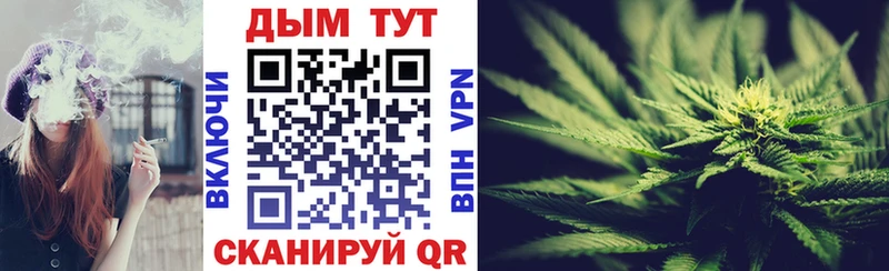 Канабис SATIVA & INDICA  где купить   Дальнегорск 